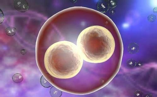 供卵代怀生男宝代生包成功